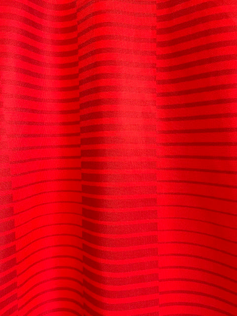 Jersey Toluca Local Versión Aficionado 25/26